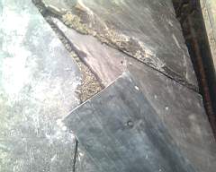 shannonbridge cap-1705.jpg